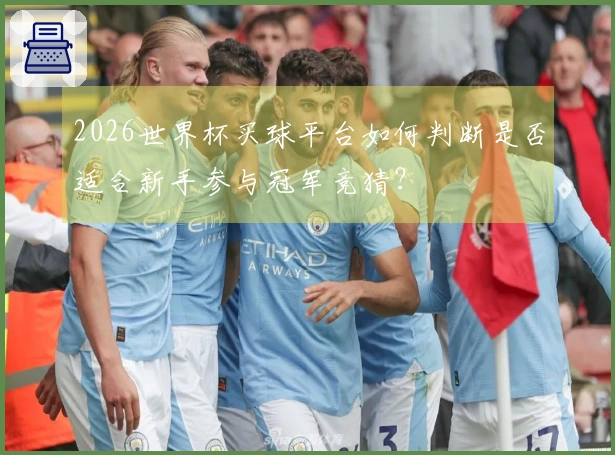 2026世界杯买球平台如何判断是否适合新手参与冠军竞猜？