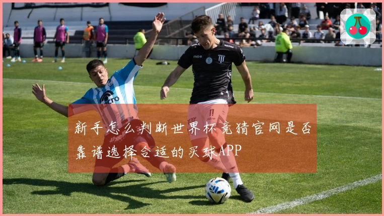 新手怎么判断世界杯竞猜官网是否靠谱选择合适的买球APP