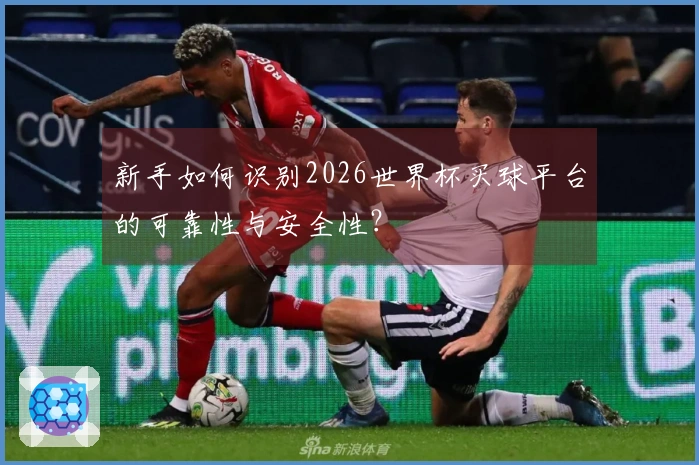 新手如何识别2026世界杯买球平台的可靠性与安全性？
