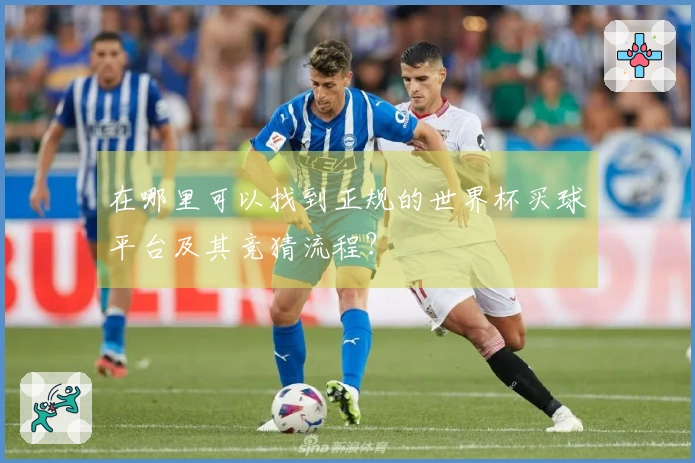 在哪里可以找到正规的世界杯买球平台及其竞猜流程？