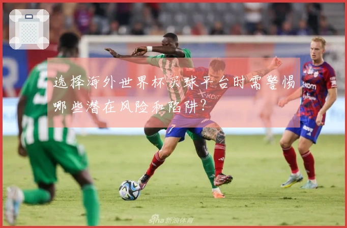 选择海外世界杯买球平台时需警惕哪些潜在风险和陷阱？