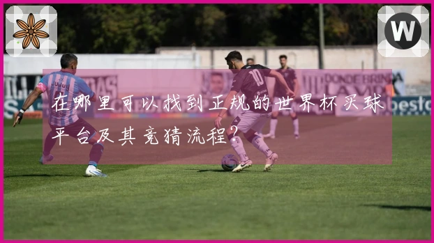 在哪里可以找到正规的世界杯买球平台及其竞猜流程？