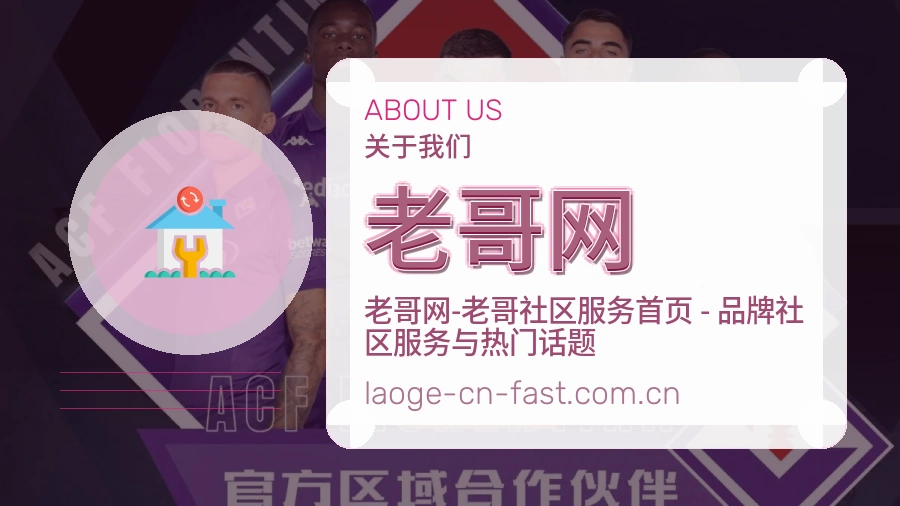 老哥网服务与体验